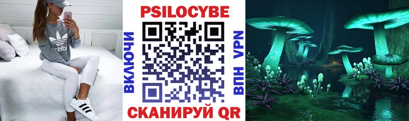 Купить закладки  Скопин  Псилоцибиновые грибы Psilocybe 
